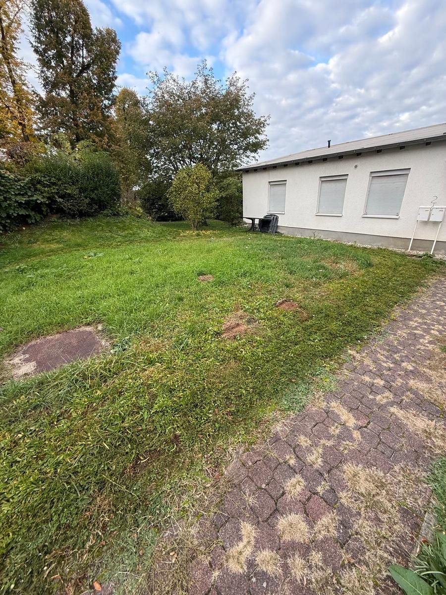 Rasenpflege – vorher