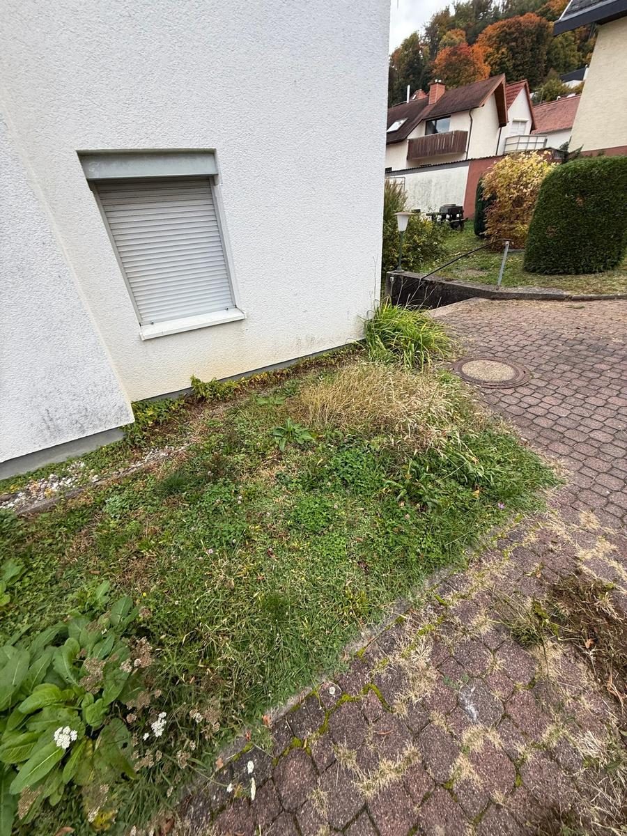 Beetpflege & Unkrautentfernung