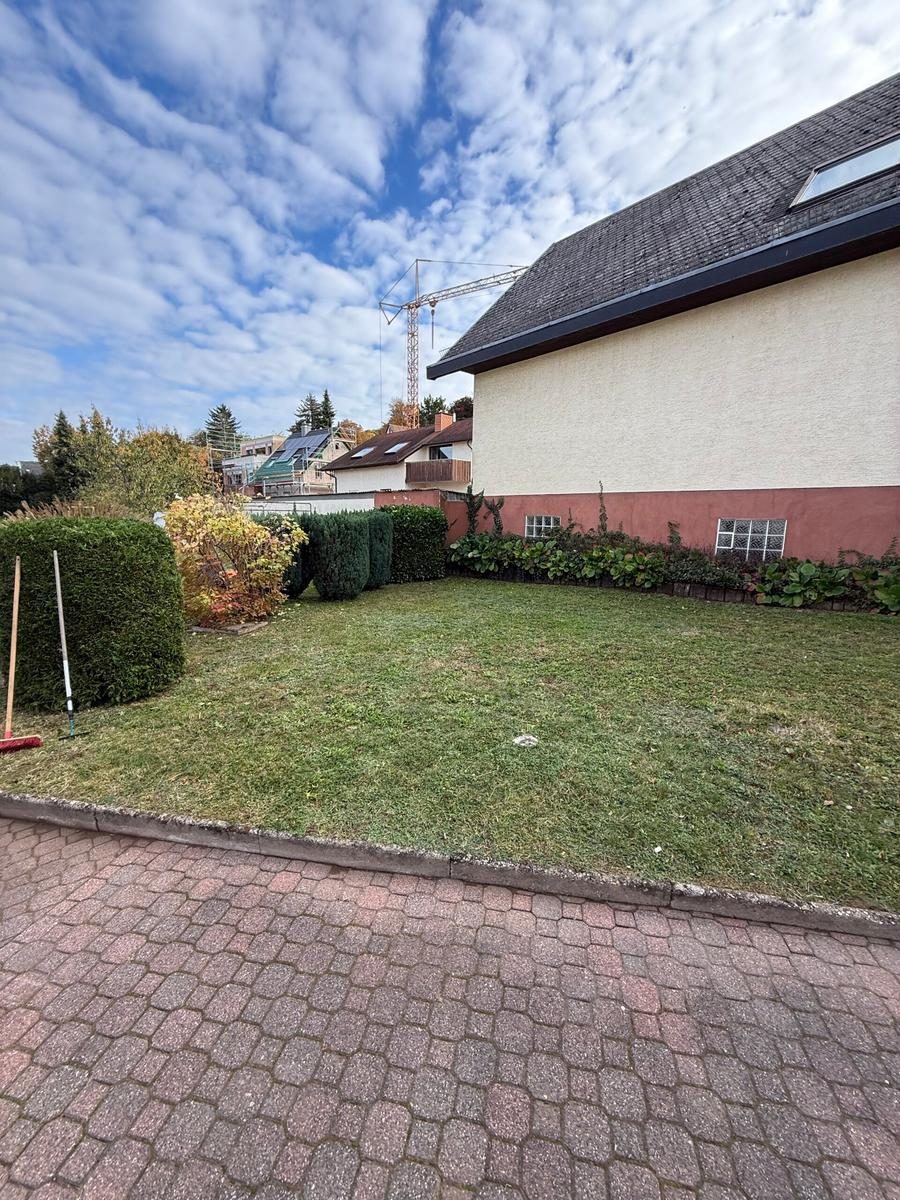 Rasenpflege – sauber gemäht