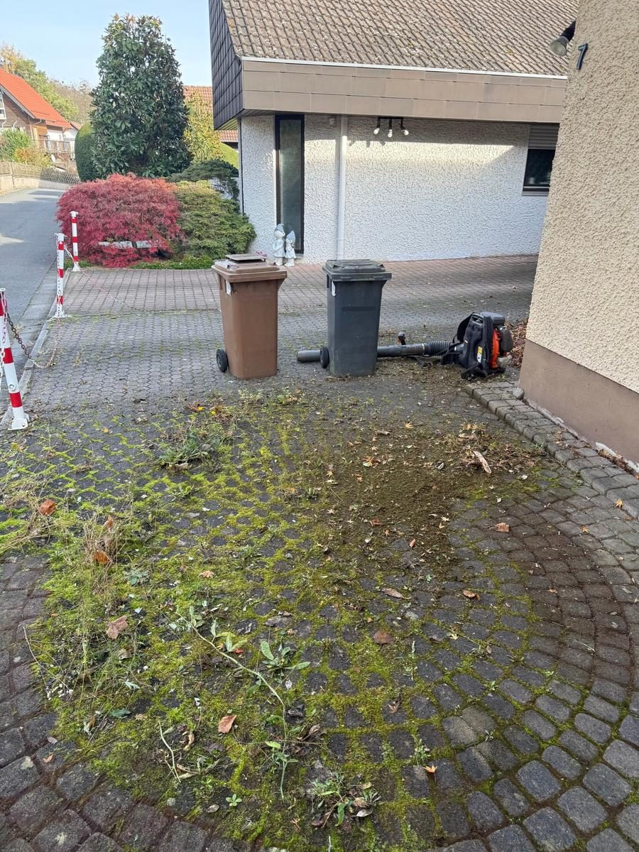 Einfahrt – Moos & Verschmutzung