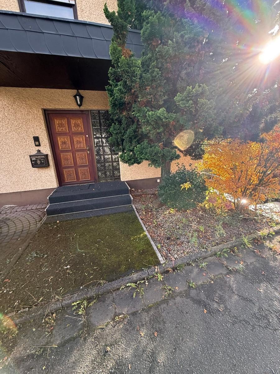 Eingangsbereich – Moosentfernung