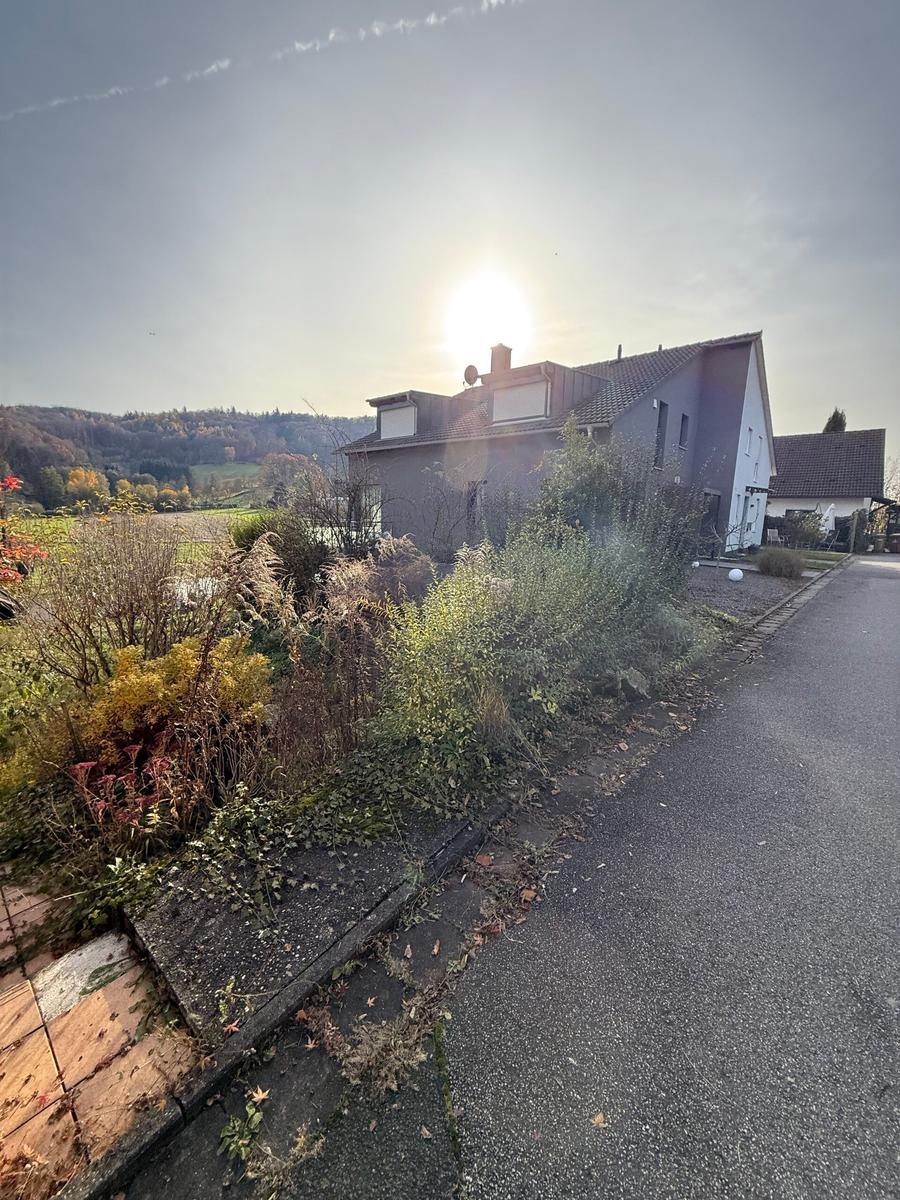 Verwilderter Garten – vorher