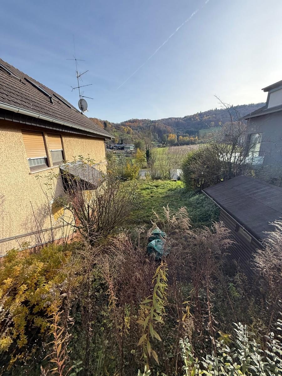 Gartenrückschnitt – Sträucher