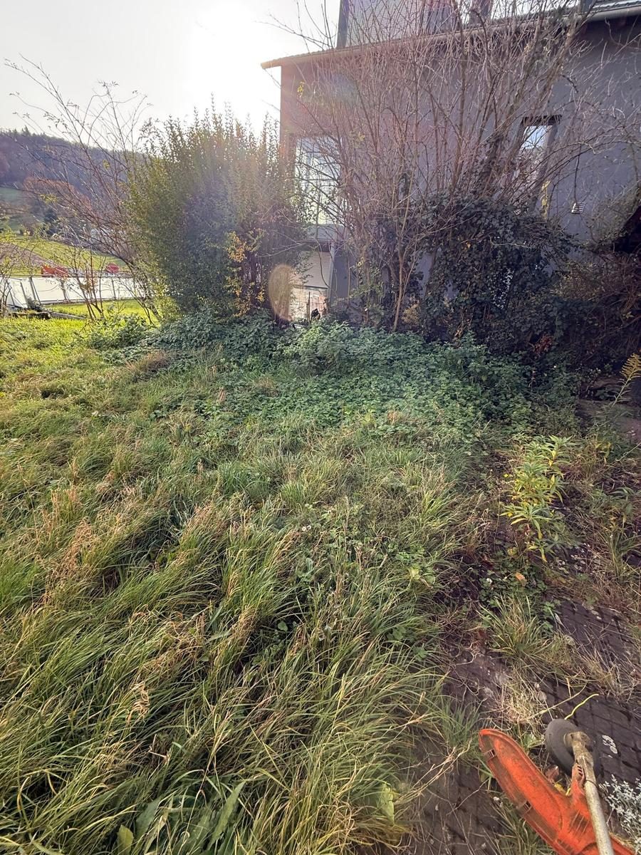 Stark verwilderter Garten – vorher