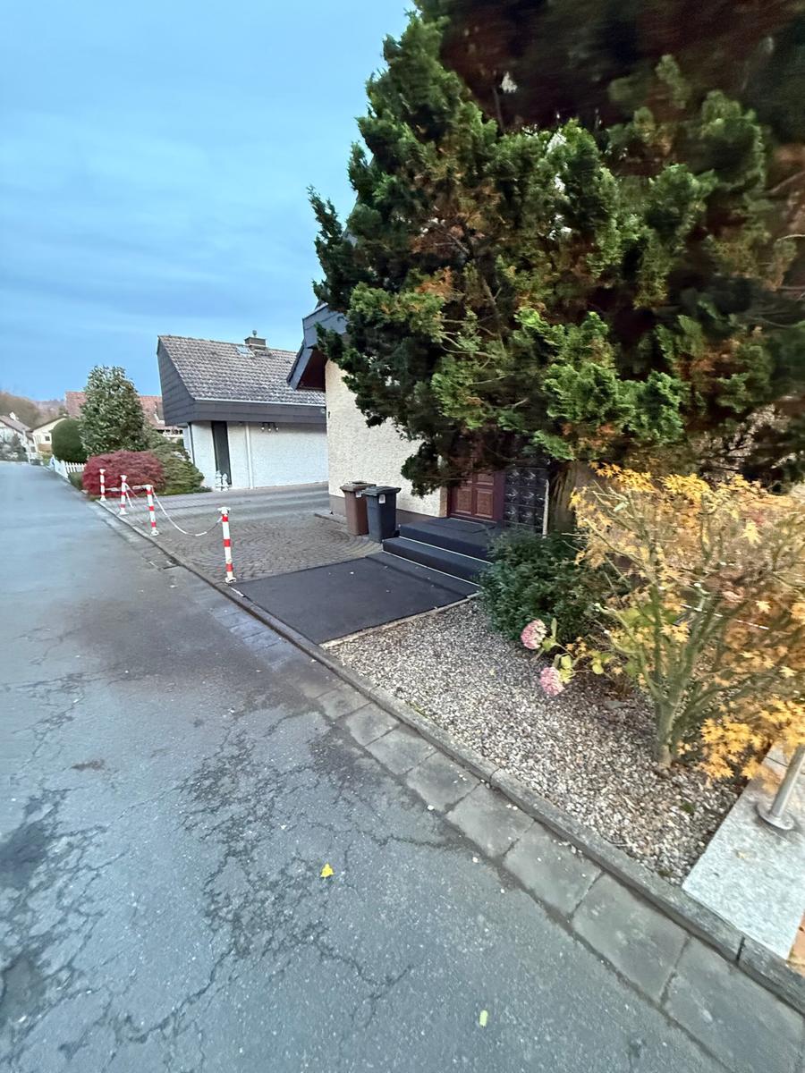 Gartenpflege am Straßenrand